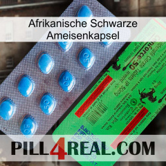 Africa Black Ant Capsule new03